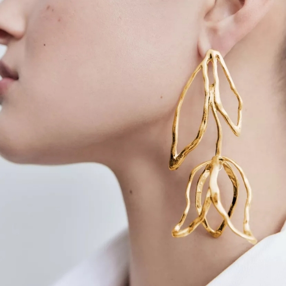 . Jewelry - Gold toned  Boho Earrings